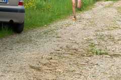 IMG-20250608-WA0005
